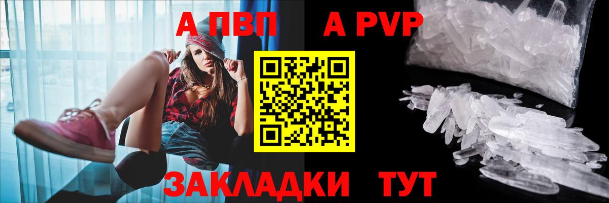 Альфа ПВП СК Кингисепп