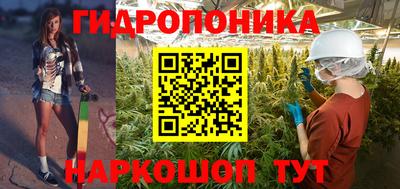 Альфа ПВП Кинель