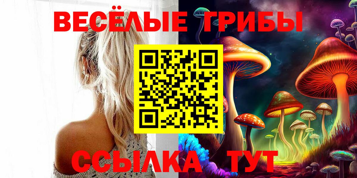 АМФЕТАМИН Кингисепп