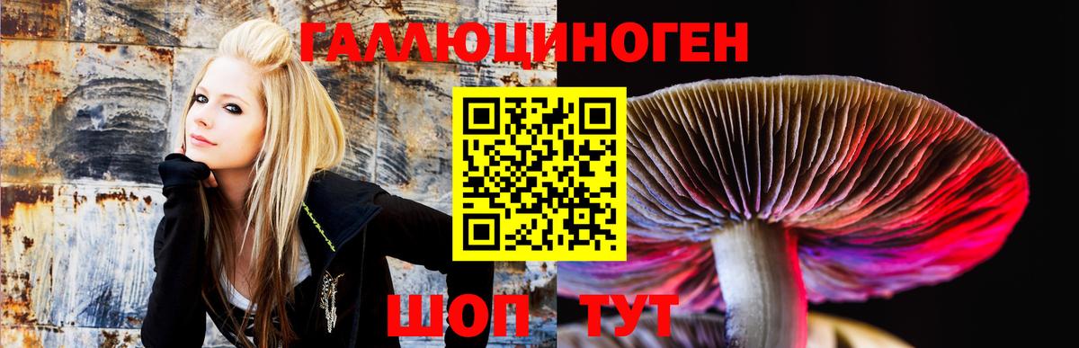 Галлюциногенные грибы Cubensis Кингисепп