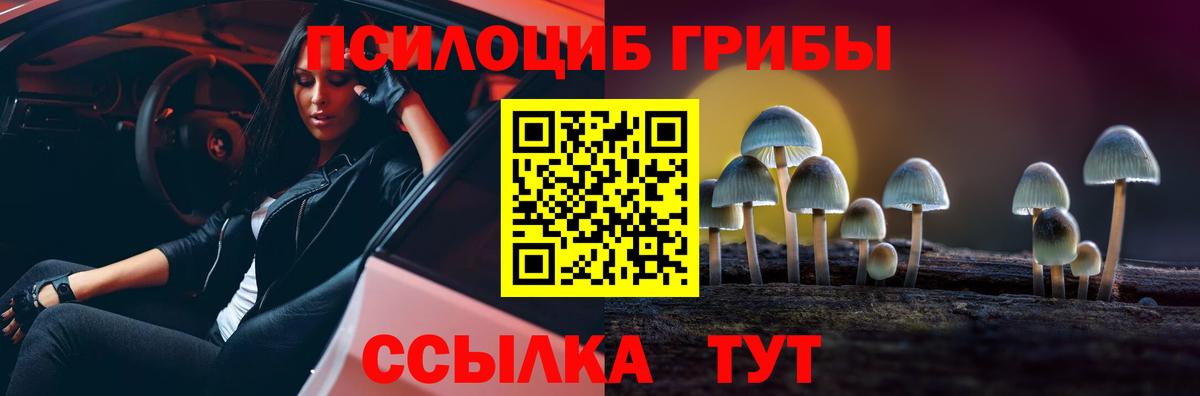 Галлюциногенные грибы прущие грибы  Вход с VPN  Кингисепп 